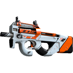 P90 | DISIMOV (SLIGHTLY WORN)